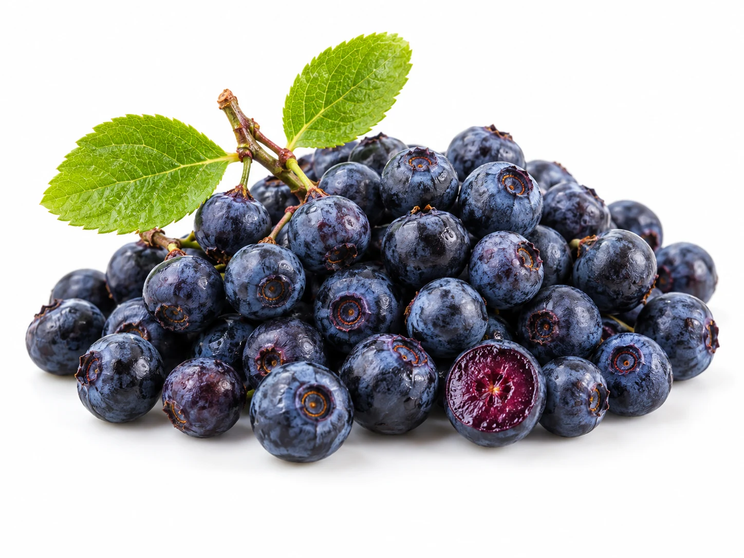 Ilustrasi bilberry biru ungu dengan isi buah berwarna ungu gelap